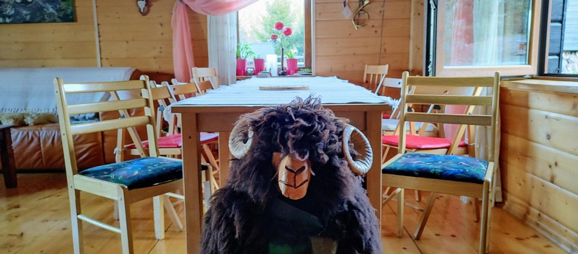 Beskidzka Ostoja Koszarawa エクステリア 写真